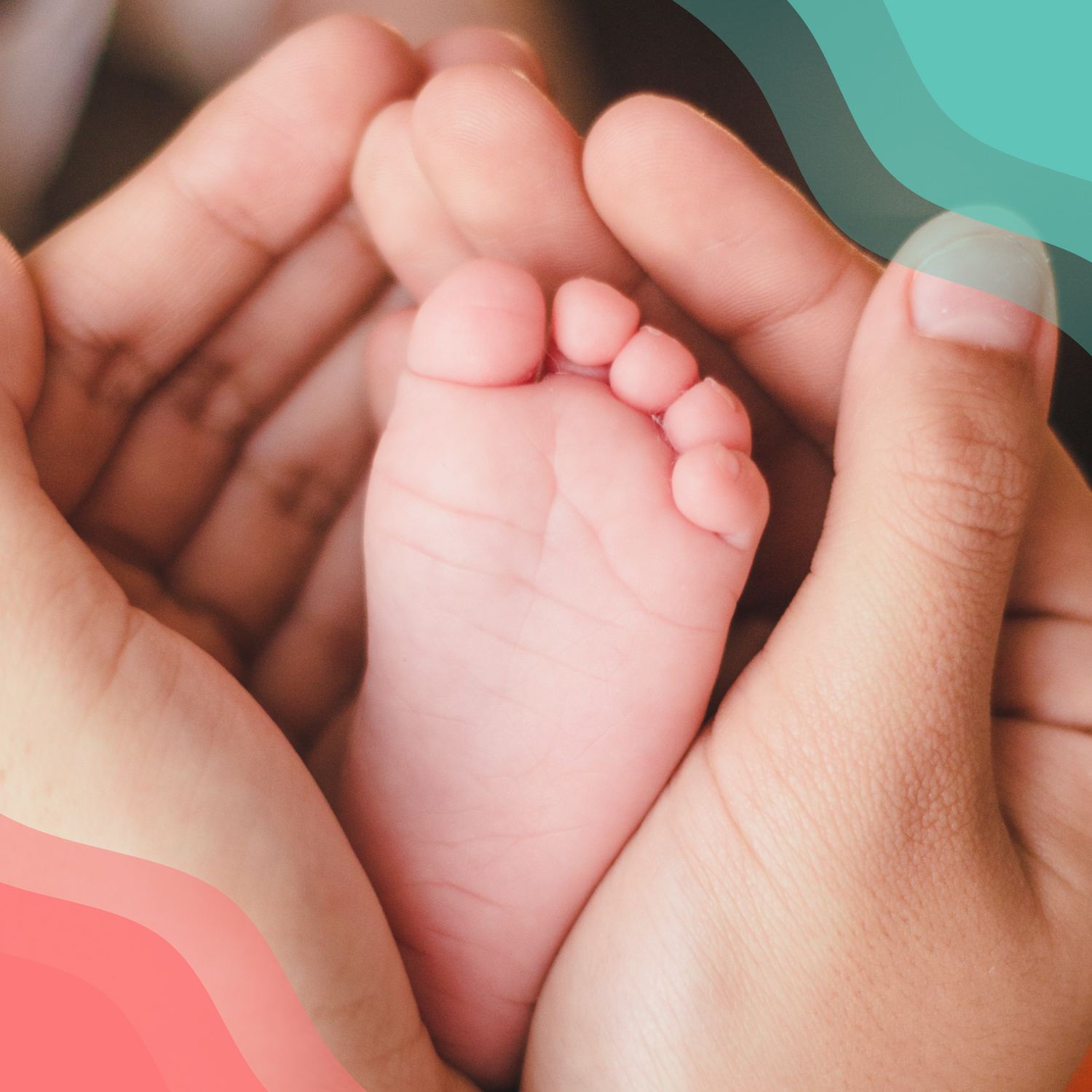 Adult cupping hands around an infants foot.